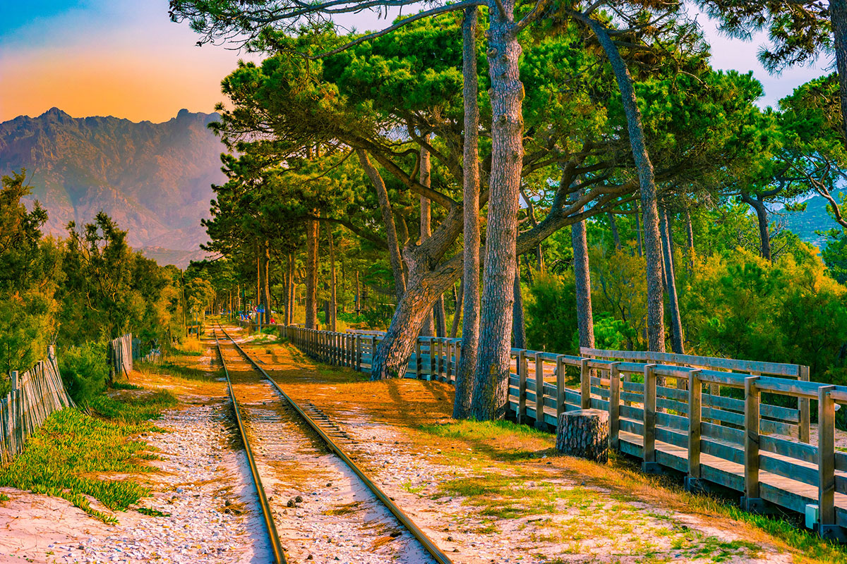 railway through pines calvi corsica