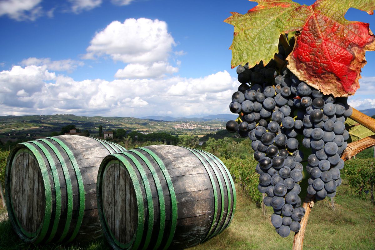 italy wine region tuscany