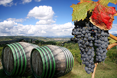tuscany wine region