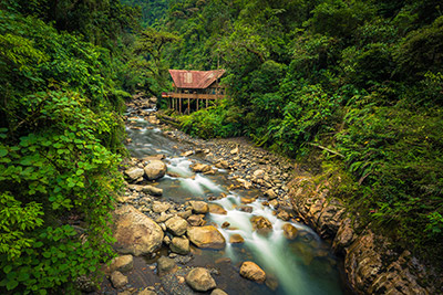 jungle lodge in Manu National Park